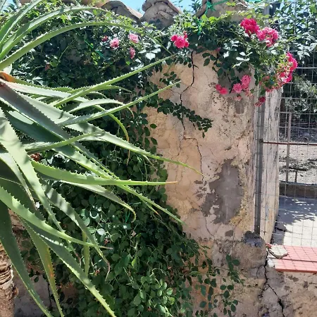 Apartment La Casa In Campagna Chiesa Nuova (Sicily)